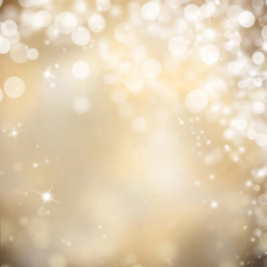 

8x8ft Brown Bokeh Backrop,photography Wedding Backdrop  XT-2924