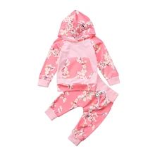 0-3Y комплект детской одежды для новорожденных, розовый топ с капюшоном и длинными рукавами и цветочным принтом+ длинные штаны-шаровары, комплект из 2 предметов, детский спортивный костюм