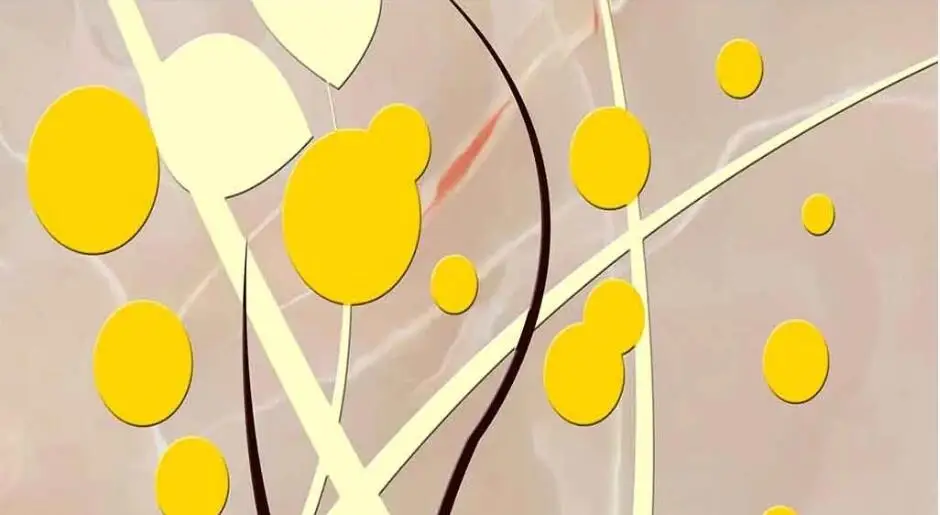 QQ截图20190628132246