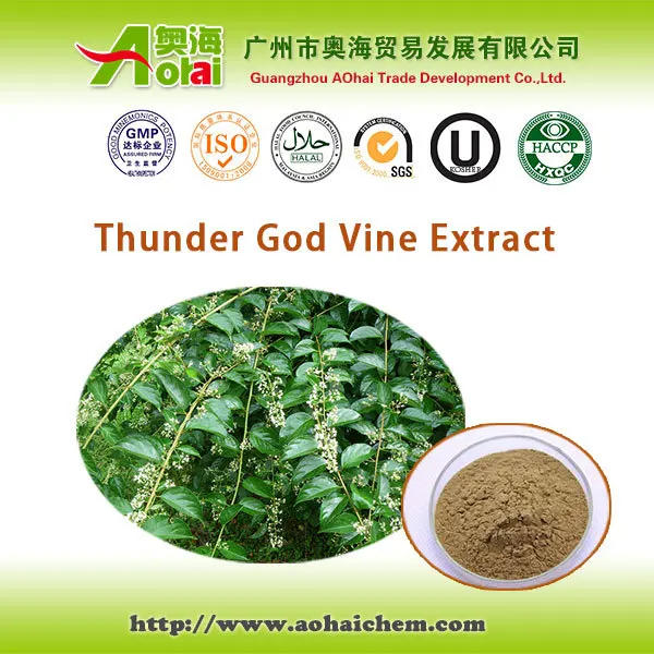 Tripterygium wilfordii / thunder god vine extract for pancreatic cancer