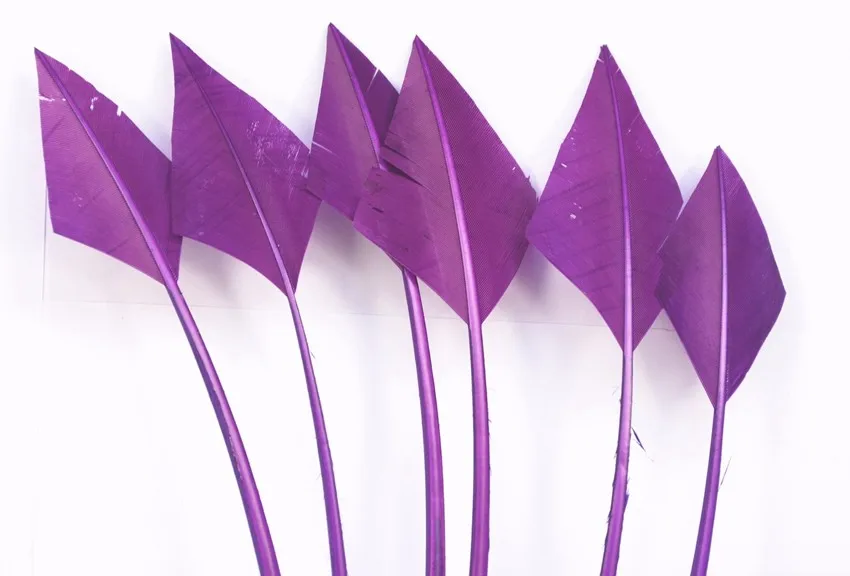 B049-dark  purple-4