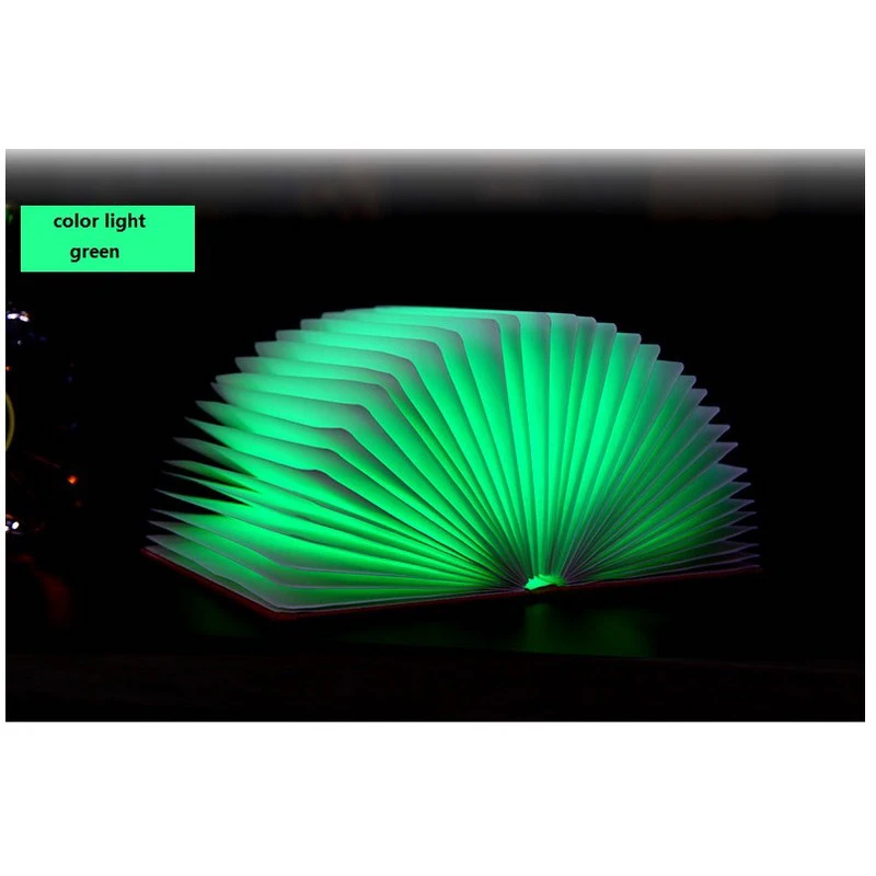 book lamp (4)