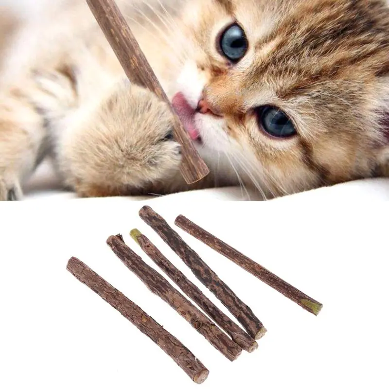 

5pcs Natural Catnip Cat Molar Silvervine Stick Chew Teeth Cleaning Cat Mint Treating