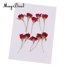 MagiDeal 10 штук прессованные настоящие сухие цветы половинная Роза для DIY домашнего орнамента из смолы для изготовления рождественских открыток