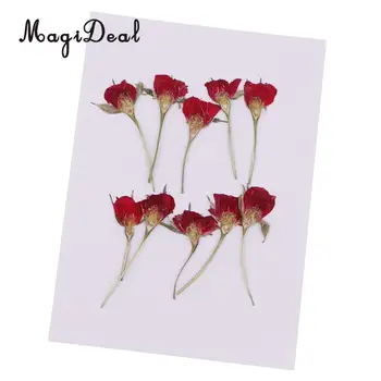 

MagiDeal 10 Pieces Pressed Real Dried Flower Half Cut Rose for DIY Home Ornament Resin Casting Making Christmas Card Decoration