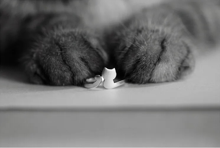 2268779462_1863817157