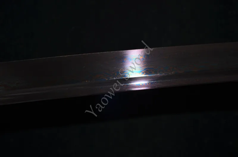 conew_dsc_0077