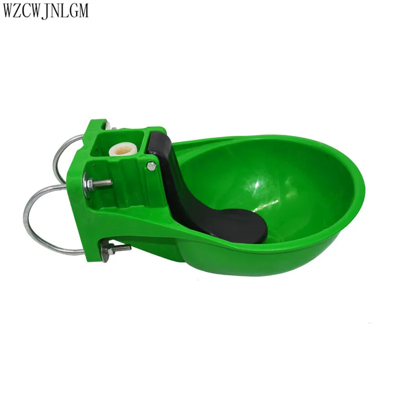 pig,cattle and sheep,large drinking water bowl,cattle automatic drinking fountain,cow drinking