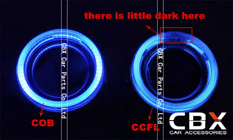 CBX-G8-COMEPARE-OF-CCLF-AND-COB