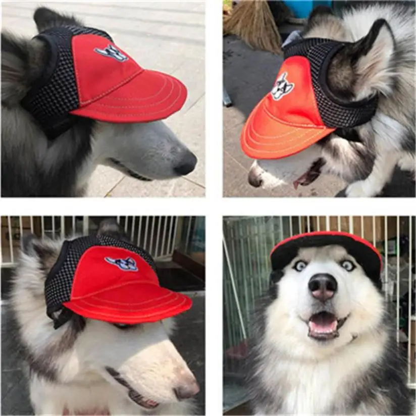 Buy Sun Hat For Dogs Cute Pet Dog Casual Cute dog