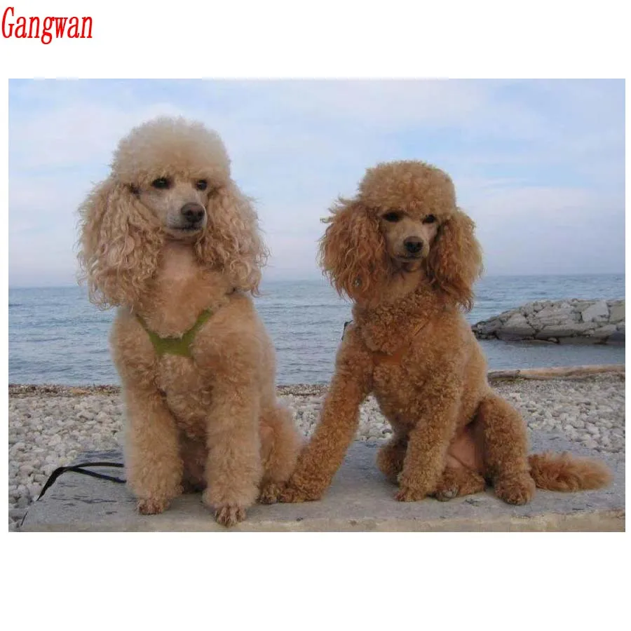 5D DIY Full Square drill Diamond Painting Cross Stitch Cute Poodle puppies Rhinestone Embroidery beads pet dog Mosaic decor gift