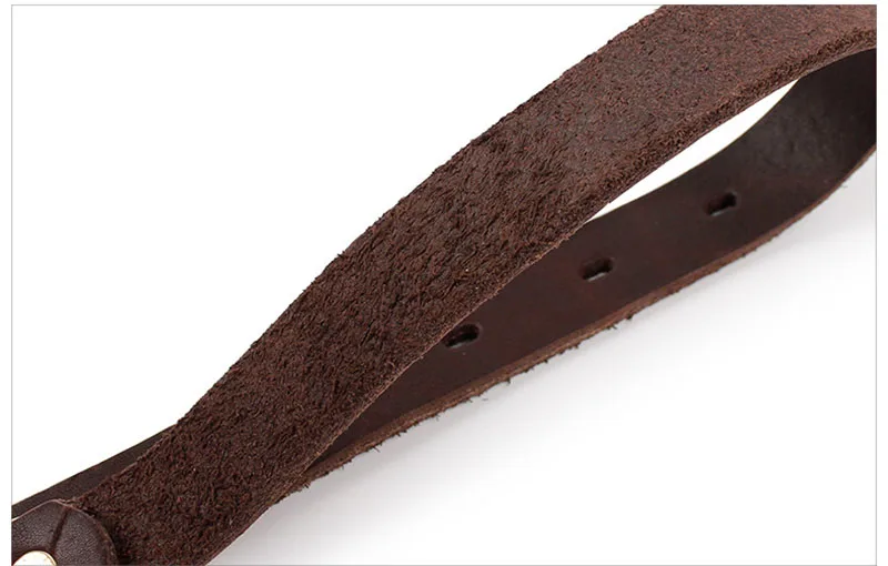 SYDZSW Top Grade Leather Dog Collar Pet Leads Alloy Buckle Labrador German Shepherd Dog Collar Lrage Dog Products 2.556cm2