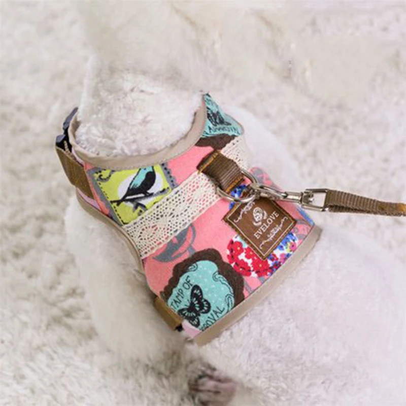 chihuahua dog accessories (13)