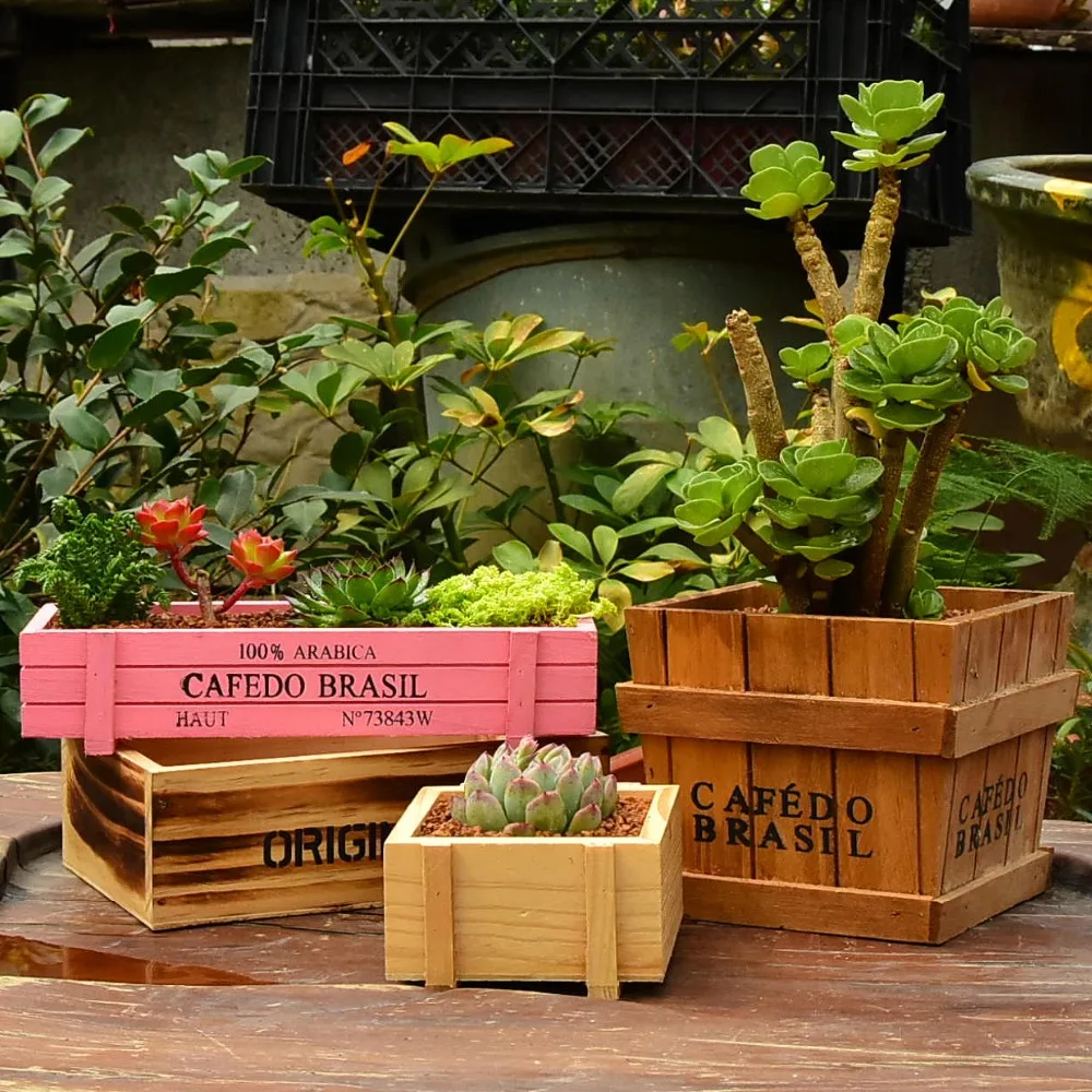 4674956350_244534802