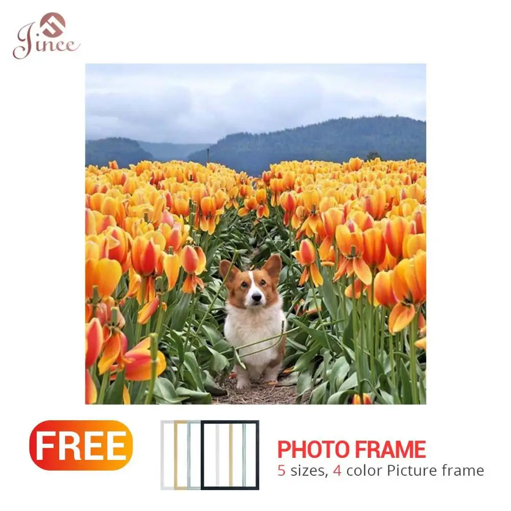 

5D DIY Diamond Painting Tulip Garden Flower Diamond Embroidery Corgi Dog Rhinestones Embroidery Home Decor Diamonds Mosaic Gift