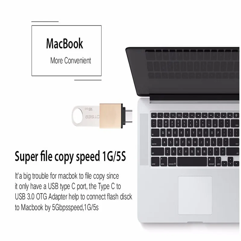 HTB1qCW3OpXXXXbwXFXXq6xXFXXXw