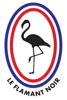 

2 style bag white cotton bag with one color logo