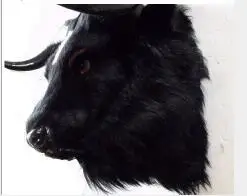  WYZHY Handicrafts simulation yak head animal head indoor pendant camera props crafts 56X38X50cm