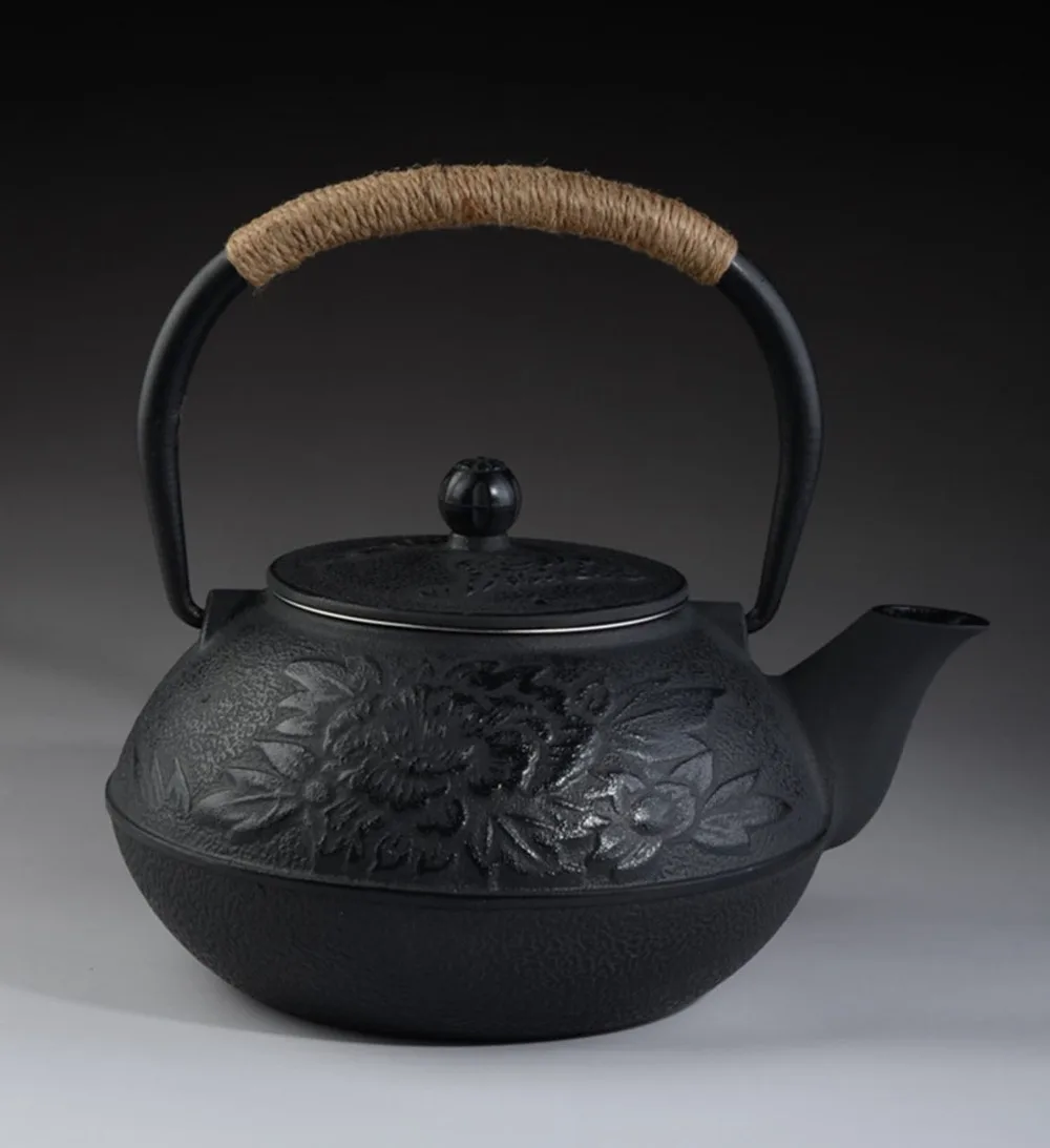 Cast Iron Tea pot Set Japanese TeaPot Tetsubin Kettle With Metal Net