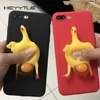 Phone Bags & Cases