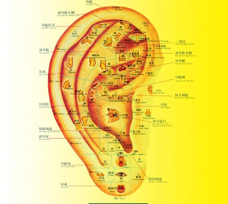 Ушной раковины точек детектор автоматическое обнаружение уха ручка Предупреждение звук точечный массаж терапия ухо аурикулотерапии точечный массаж прибор