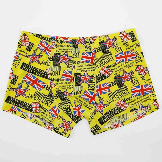 Brand Men Sexy Underwear 10pcs Male Panties Cotton Underpants 3 Colors