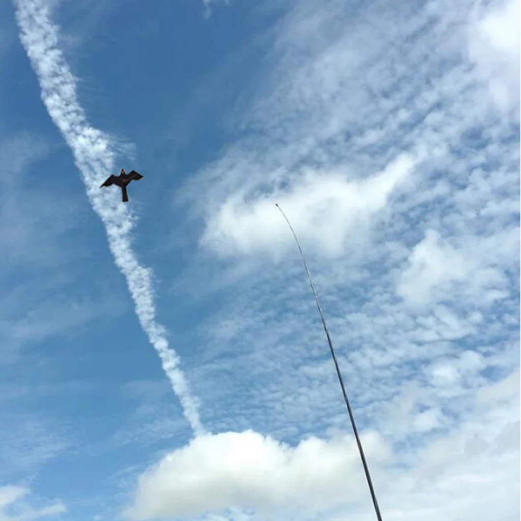 

5pcs/lot Hawk Kite Bird Scarer Protect Farmers Crops Windsock Scarecrow Toy Home Garden Outdoor Tools