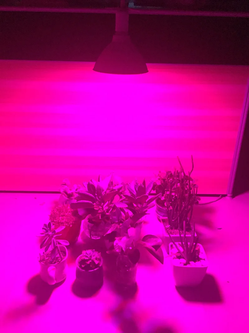 28041 x  (1)