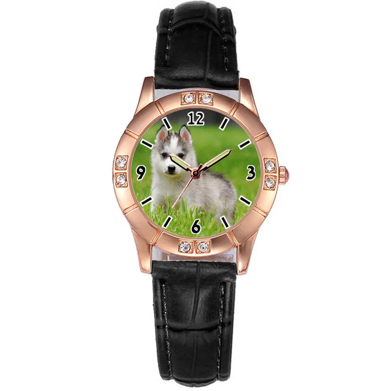 pet gift
