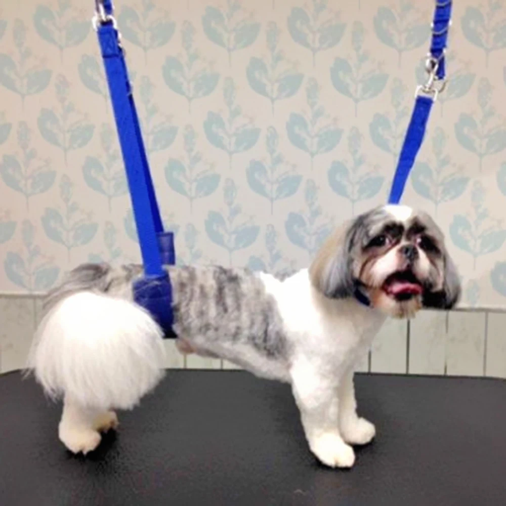 1Pcs Dog Grooming Belly Strap Bathing Band Pet Traction Belt Dog Strap Rope Pet Dog Leash Rope