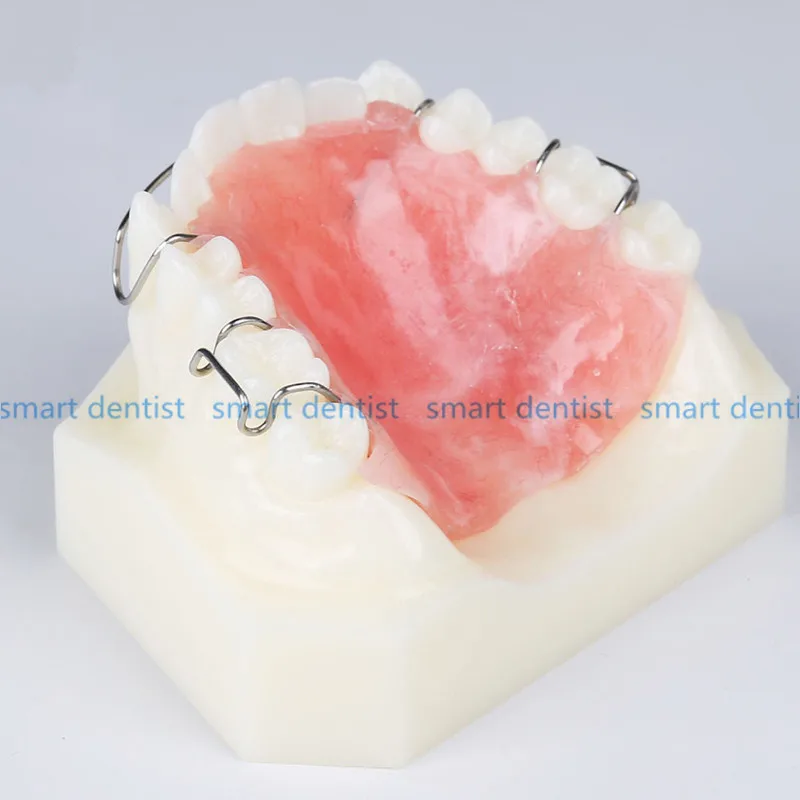 Хорошее качество 1 шт. стоматологический ортодонтический прибор модель с зубцами тренажер ретейнеры скобы обучения и