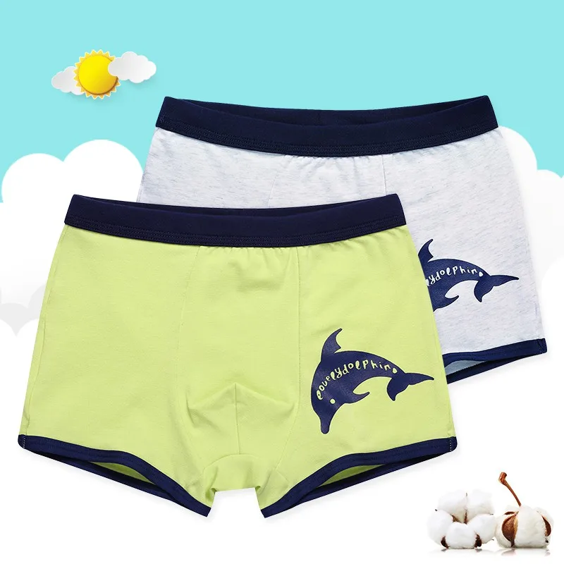 2pcs Boys Underwear Cotton Solid Cartoon Panties Boxer Briefs Shorts Children Panties For 3 10