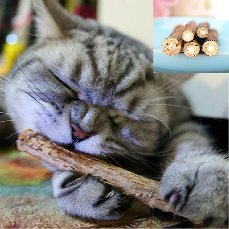 

5 pcs Cat Cleaning Teeth Natural Catnip Molar Chew Stick Vine Toy