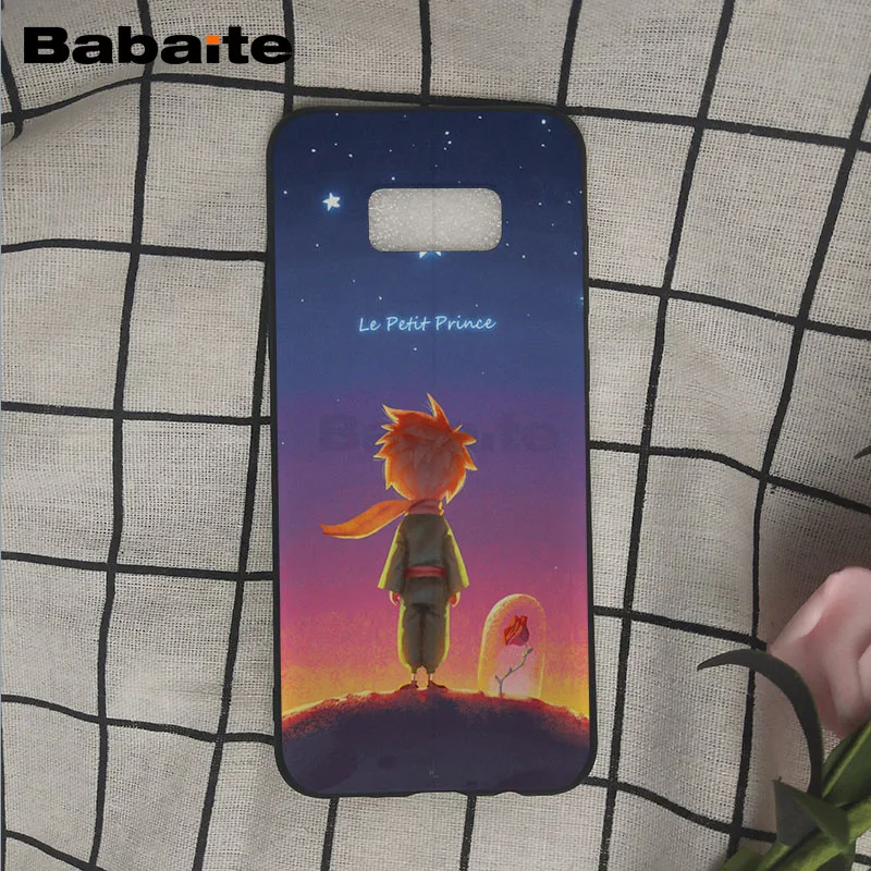 The Little Prince and the Fox