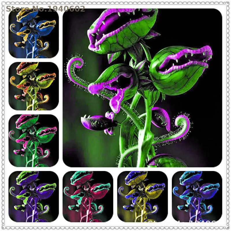 100 pcs Potted Insectivorous Plant bonsai Dionaea Muscipula Giant Clip Venus Flytrap bonsai For Home Garden Free Shipping