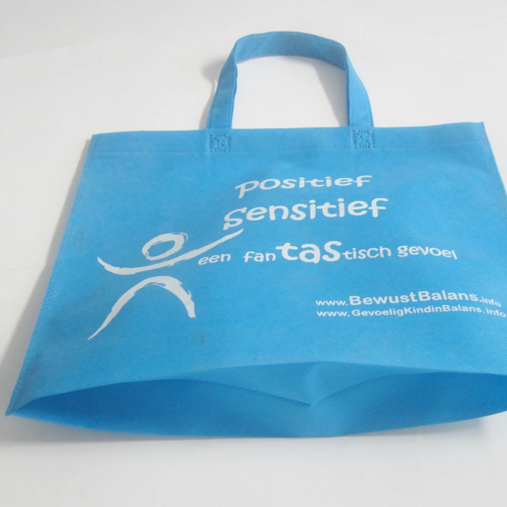 Discount 500pcs/lot sky blue non woven  shopping bag hot sealed with handle for christmas decorations 2