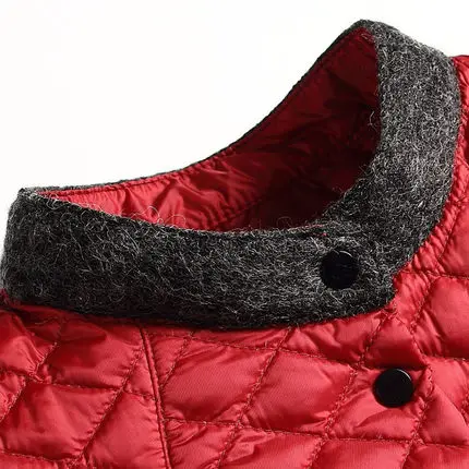 Women White Duck Down Jacket Padded Coats O-Collar Winter Jackets For Female 2018 New Long Korean Style Women Coat AS038 (2)