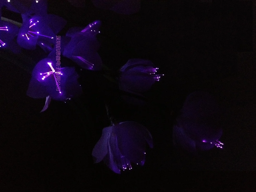 Стиль СВЕТОДИОДНЫЙ Красочный преобразование искусственный цветок Свадебные украшения Новинка оптического волокна цветок Рождество Год Вечерние