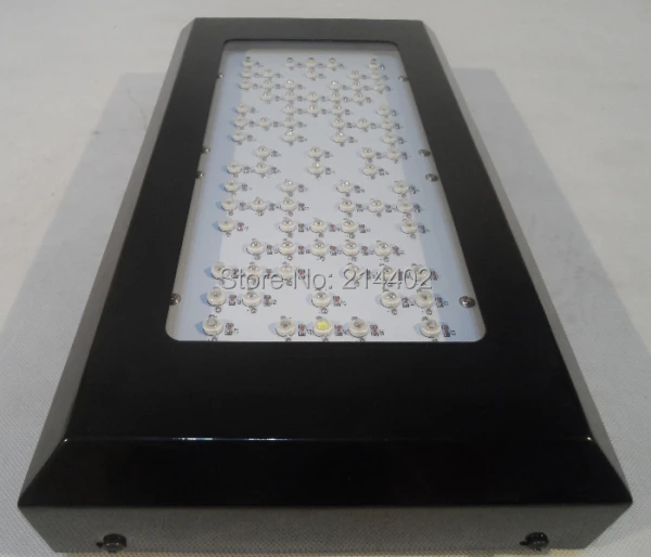 

New 240w Lighthouse Hydro BlackStar LED Grow light Flowering 3W LED's dropshipping