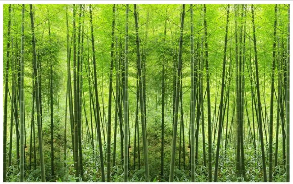 3d wallpaper custom High end 3d murals wallpaper for walls 3d wallpaper custom High end 3d murals wallpaper for walls