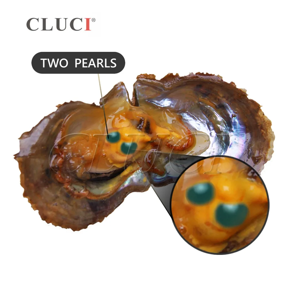 WP287BB-2-pearl-jewelry