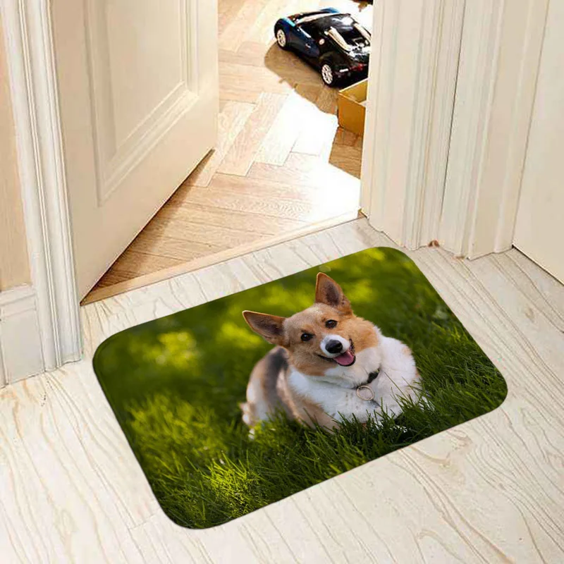 Modern home decorative door mat popular dogs pug/border collie/bull terrier/French bulldog photo print 40x60cm floor mat carpet - Цвет: MI 19