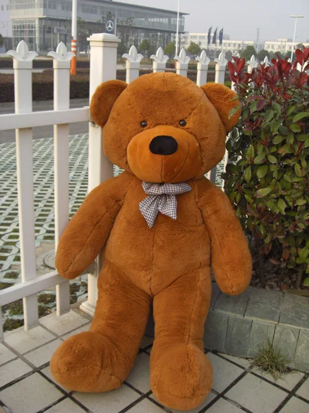 big dark brown teddy bear