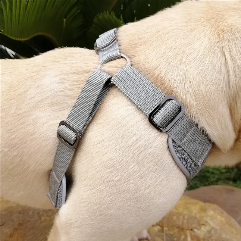 dog harness (15)