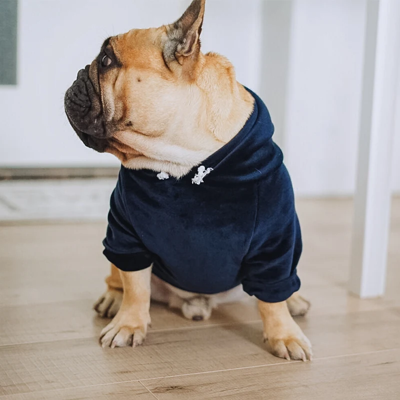 [MPK Одежда для собак] новая одежда для собак, худи для зимы, подходит для французских бульдогов, Мопсов, Доступно 3 цвета