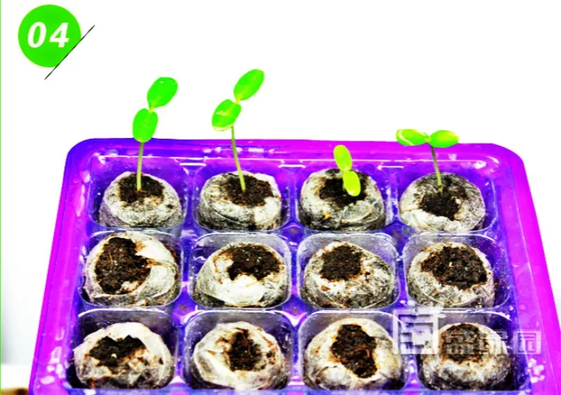 30 мм Jiffy Peat гранулы семян стартер роста семян поддон блоки грунта под рассаду Профессиональный простой в использовании 1 шт, 2 шт, 5 шт