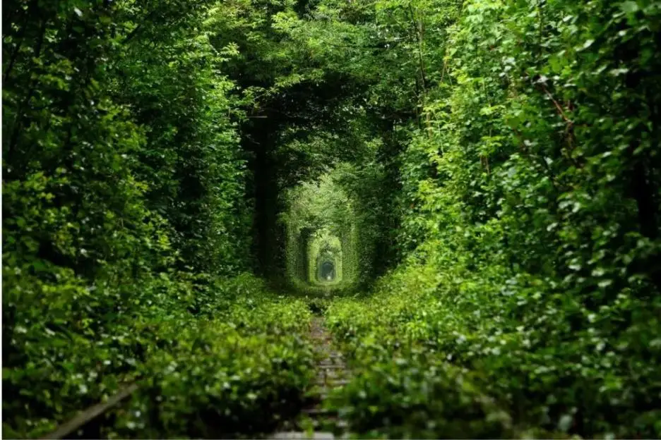 360截图20190514220001563