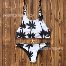 Sexy Micro Bikinis Women Bikini 2017 Swimsuit Low Waist Bathing Suit Push Up Swimming Suit Beach