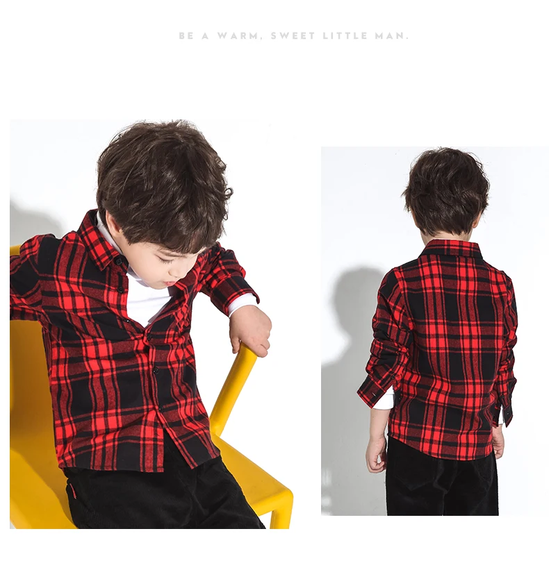 BCS809076_13