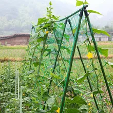 Садовые зеленые нейлоновые овощи фрукты нейлоновые шпалеры поддержка для плетения сетка для альпинизма виноградные растения растение забор анти-птица сеть